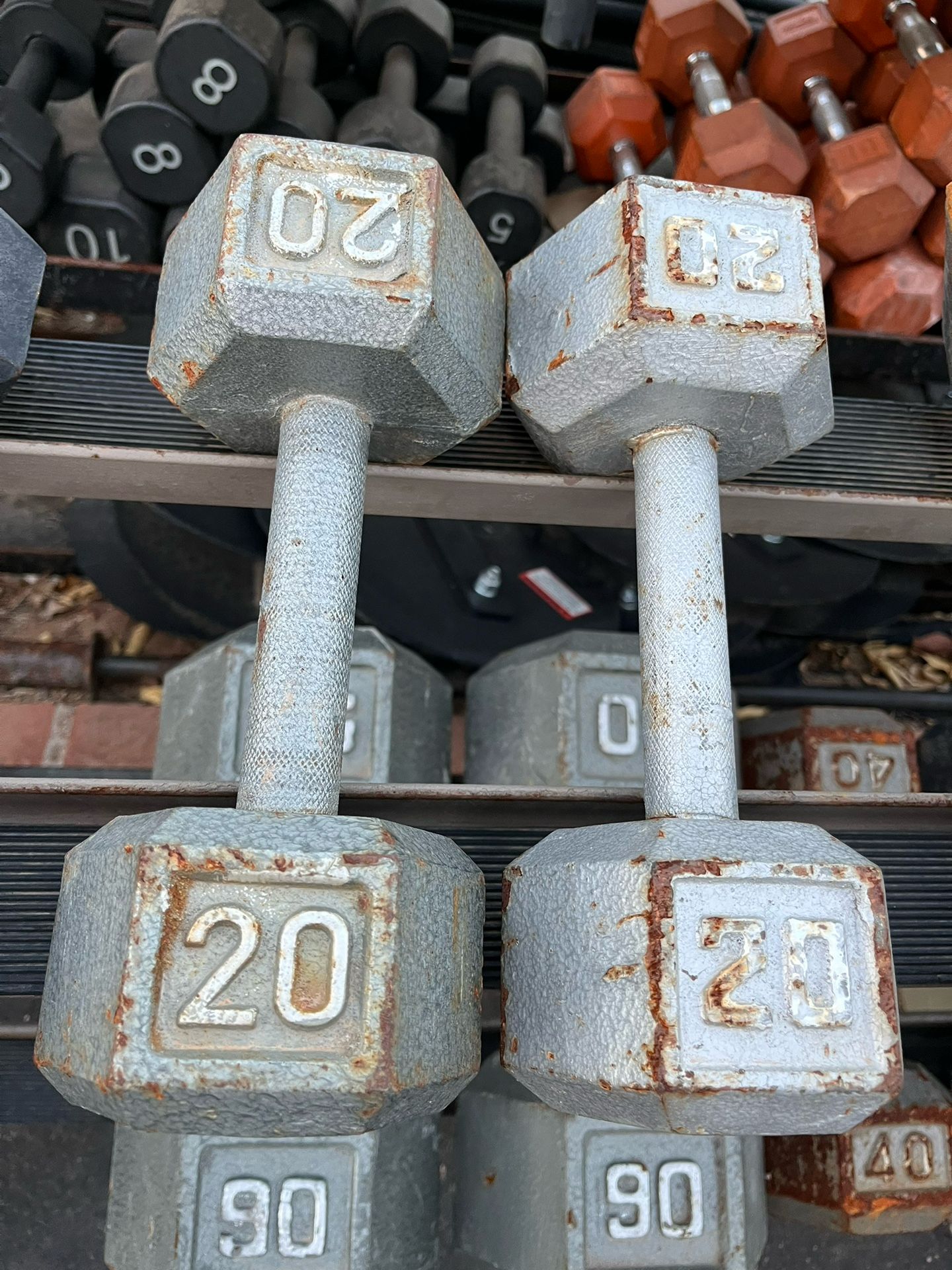 20lb Hex Iron Dumbbell Set Weights