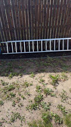 16ft Extension Ladder
