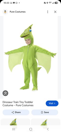 Dinosaur Train Tiny Pteranodon Kids Costume