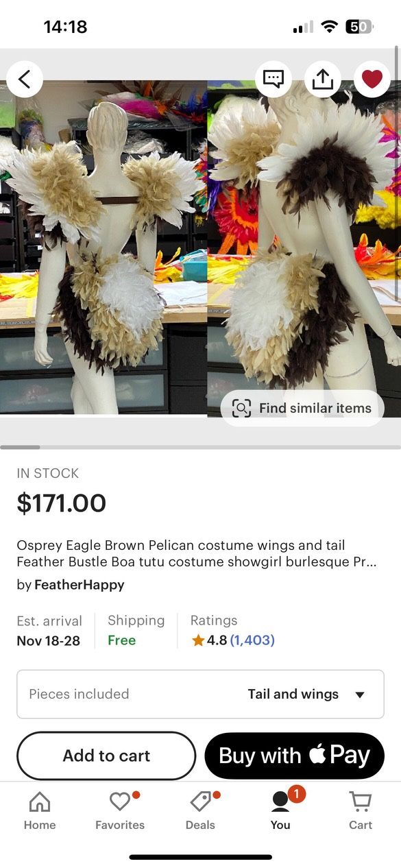 Osprey Eagle Brown Pelican Costume Feather Tail And Wings