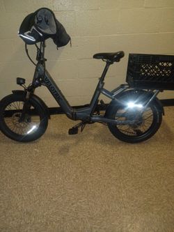 Volectric E. Bike