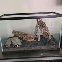 10 Gallon Tank. With Aqua Soil And Hardscape.