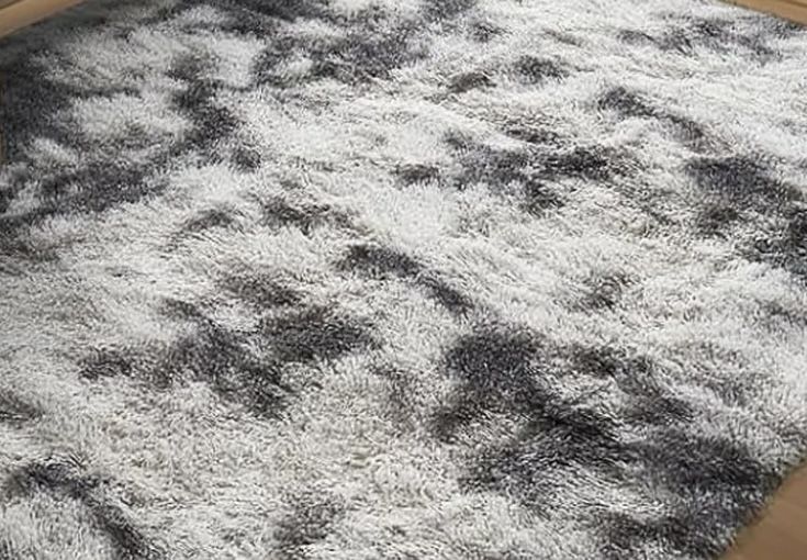 Living Room Area Rug/Carpet