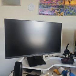 LG Computer Monitor $80