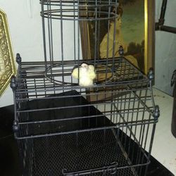 NEW NEVER USED ROYAL LARGE BIRD. CAGE