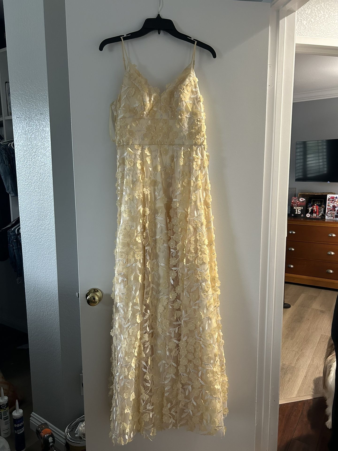 Prom/Formal Dress Size 2 (Nordstrom Eliza J.) 