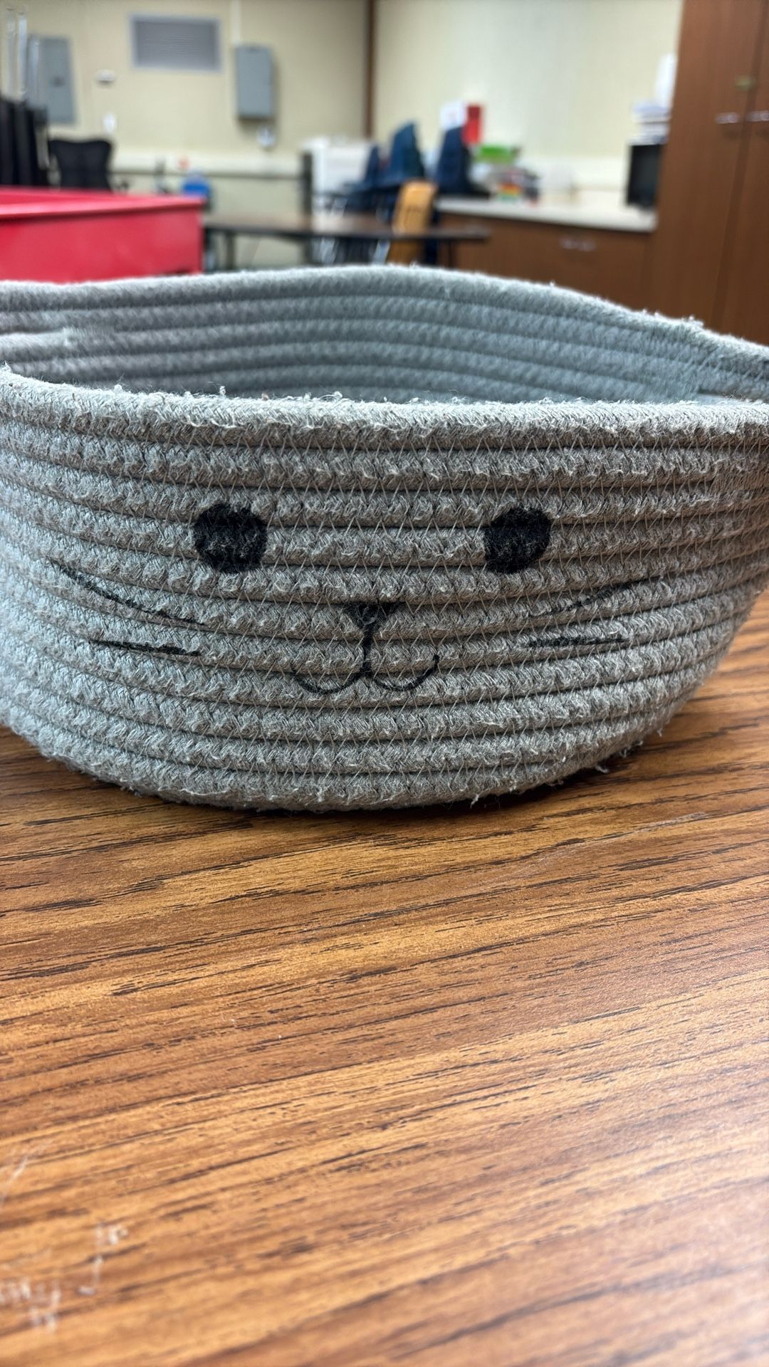 Cat Basket