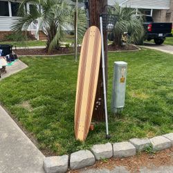 Longboard Skateboard With Adjustable Skate pole 