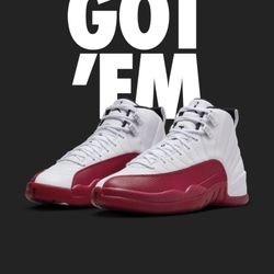Air Jordan 12’s Brand New 