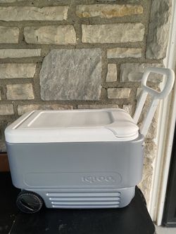 Igloo Cooler on wheelie 36Qt Roller Cooler