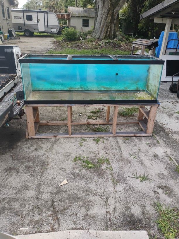 Fish Tank 125 G