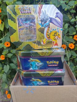 POKEMON RAGING BOLT EX TIN