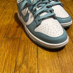 Size 10 nike dunks