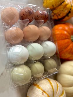 Farm Fresh Eggs Organic