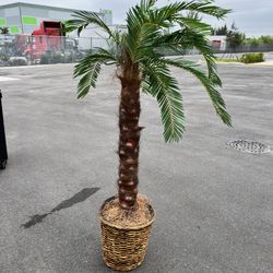 Plastic Ornament plant 
