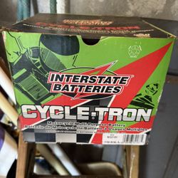 Interstate Battery