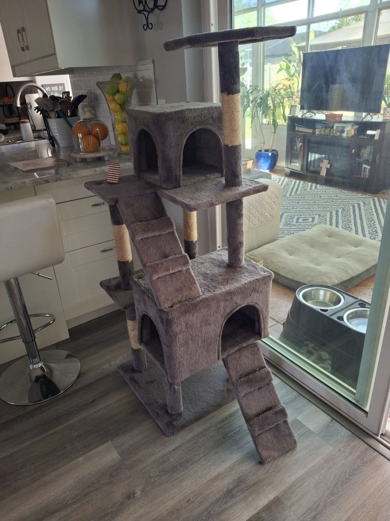 Cat Scratcher Hotel