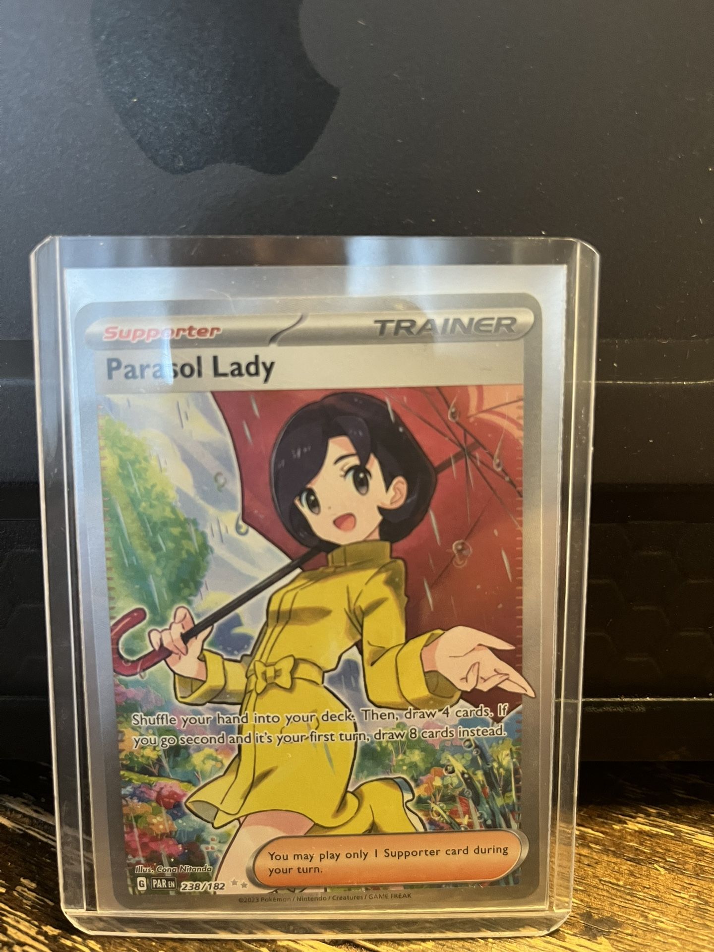 Pokemon Parasol Lady