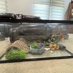 40 gallon terrarium tank
