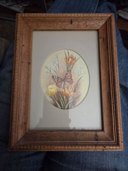 Sm pics