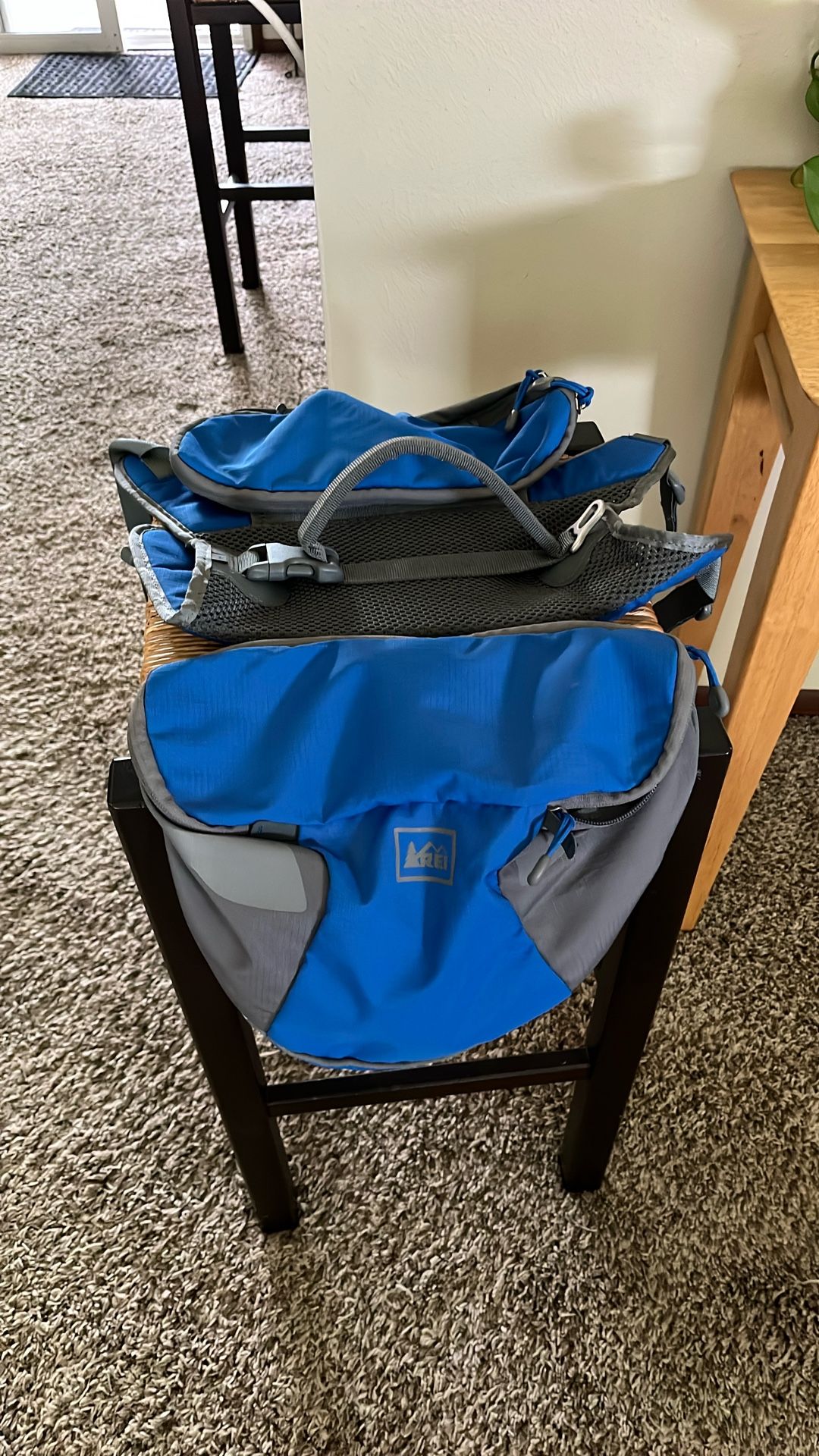 REI classic dog pack