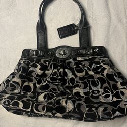 Vintage Coach Bag