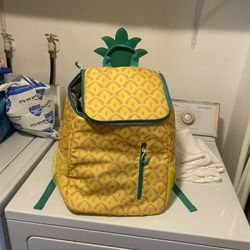 Igloo Insulated Back Pack