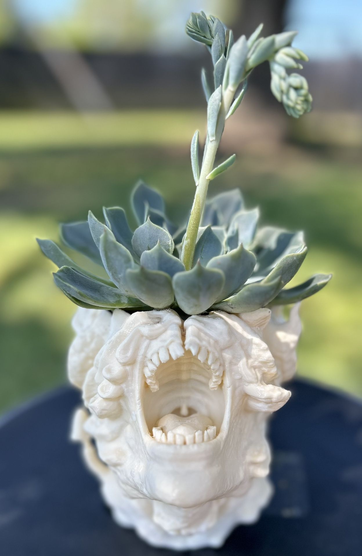 The Last Of Us Succulent Planter