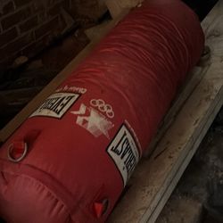 Punching Bag 