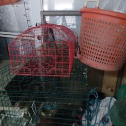 Crab Pots And Basket