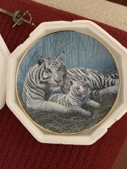 Collector Plates