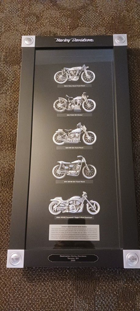 2009.  5 Harley Davidson motorcycles in glass wall hanging frame 25 ins high by 12 ins wide collectible brand new still 