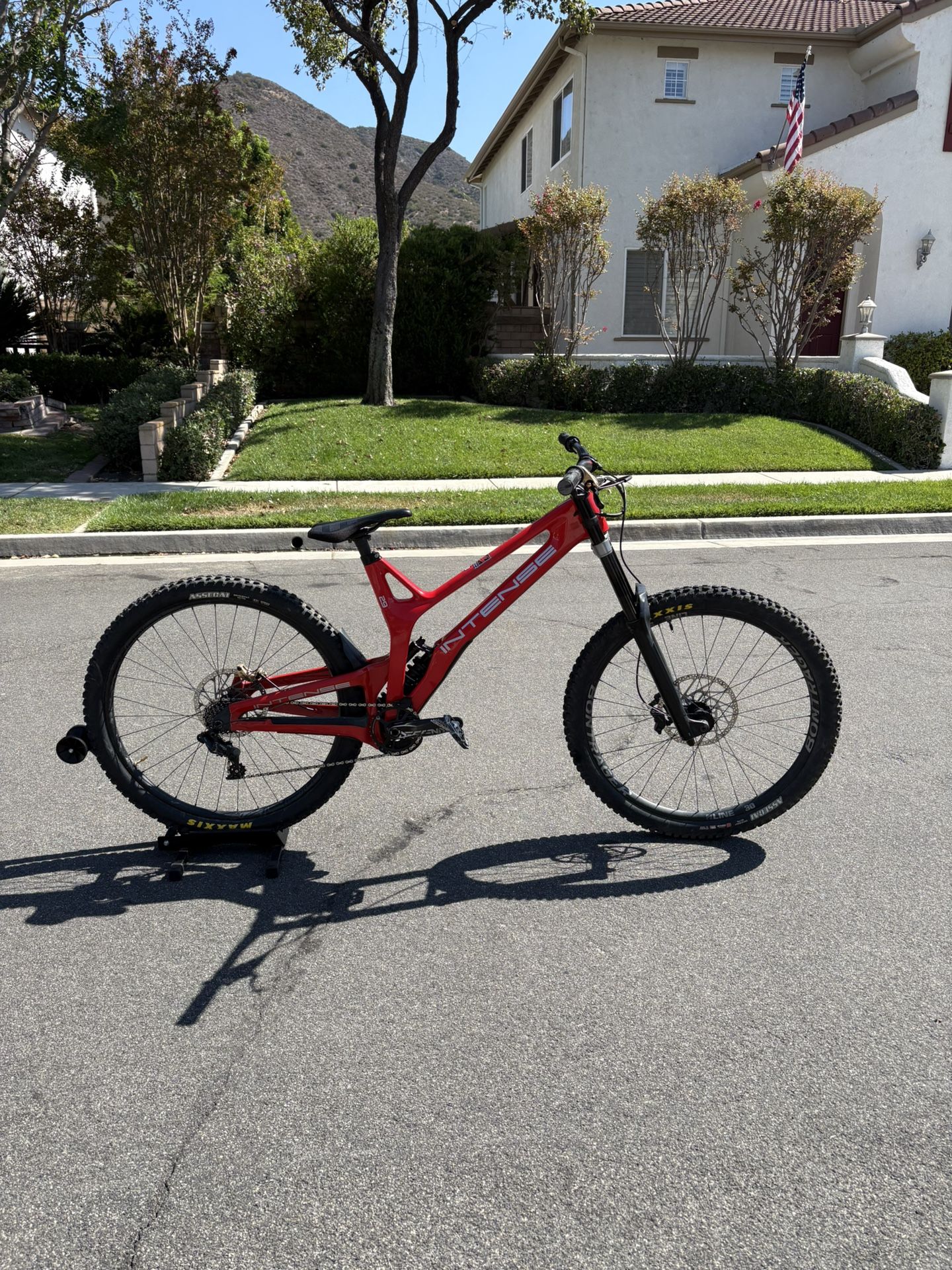 2020 Intense M29 Dh Bike