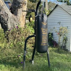 Everlast Stand and bag 