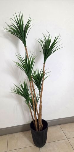 *** NEW LOW PRICE *** 6ft Faux Spider Dracaena in a 15in (Tall) Black Resin Planter @ Lasting Creations