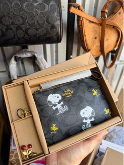 Snoopy coach wallet/pouch