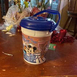 Popcorn bucket From Walt Disney World