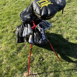 Ping / Cobra Golf set