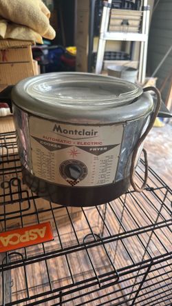 Fryer/cooker