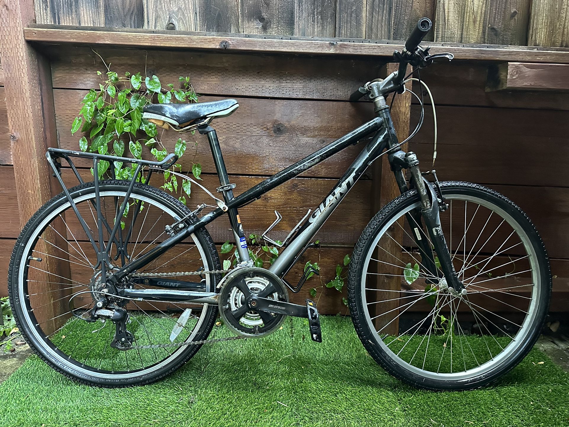 Giant Mountain Bike