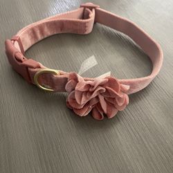 Dog Collar