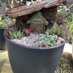 Fairy garden