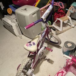 16 Inch Bike 