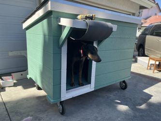 Dog House , Pet Shelter Start;