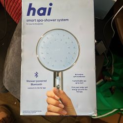 Bluetooth Shower Head 