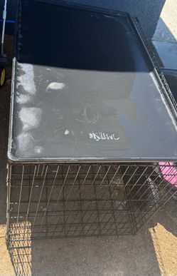 Kong XL kennel