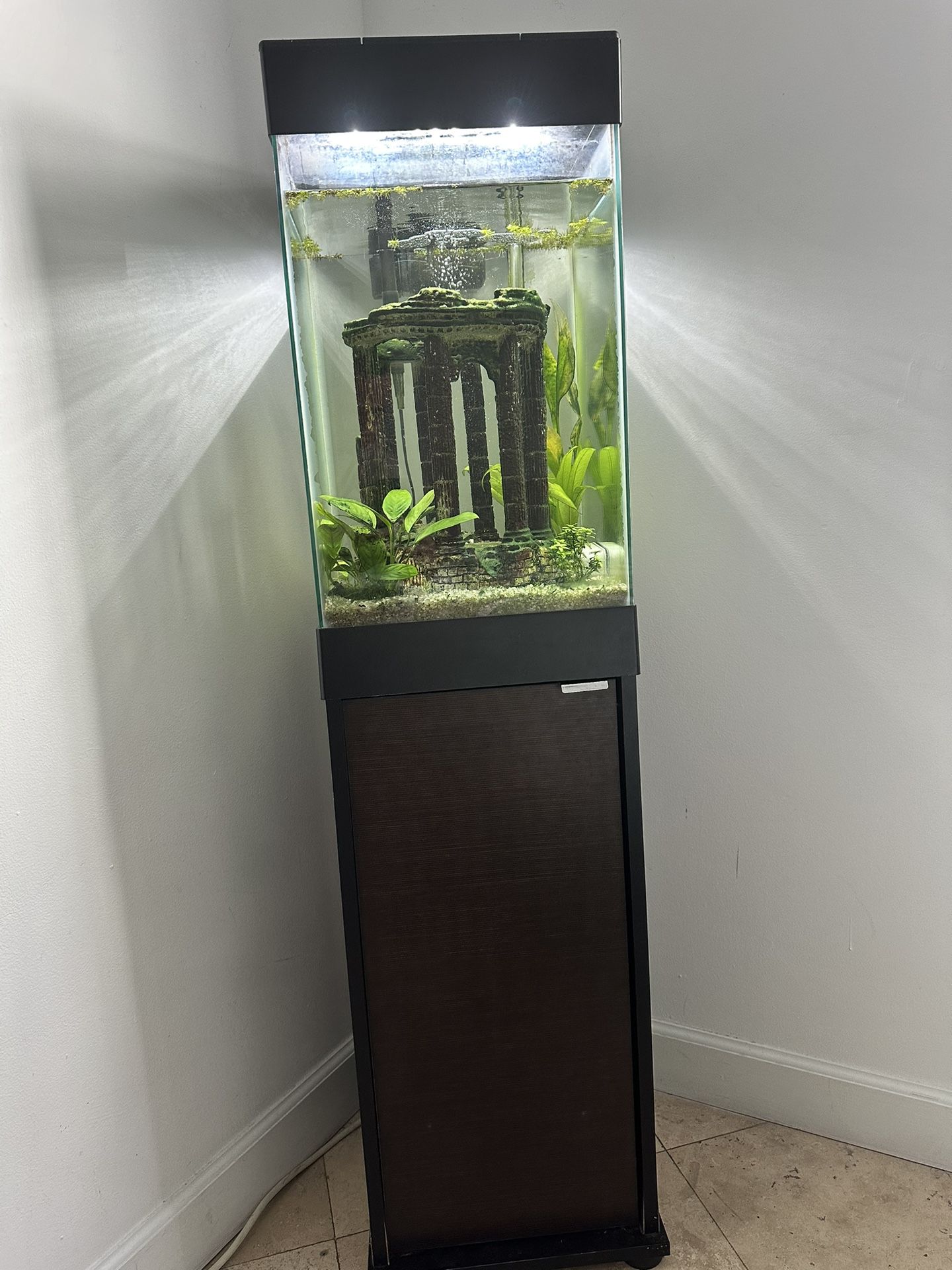 Full Aquarium- Fish Tank Set Up