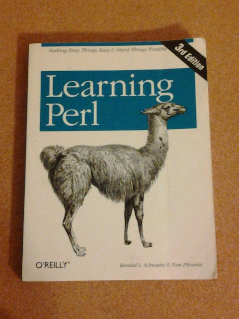 Perl programing