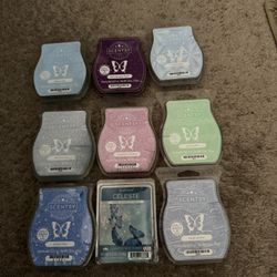 Assorted Wax Melts 