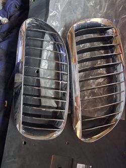 BMW kidney grill